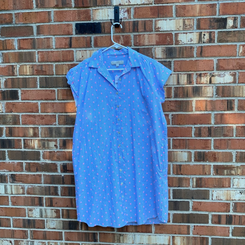 LOFT preppy and cute shirt dress